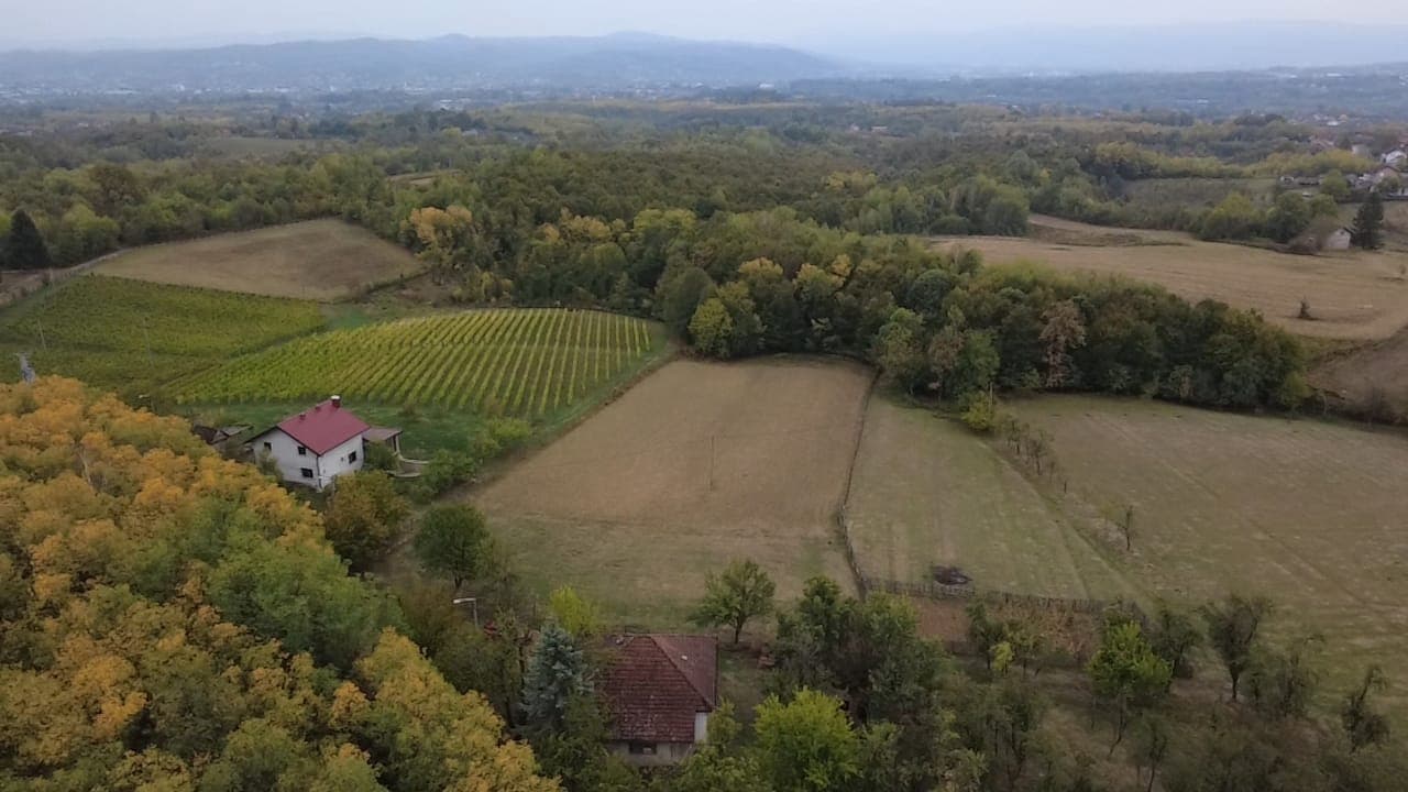 Barlovci, 9.190 m² zemljišta, pored vinograda - slika 1