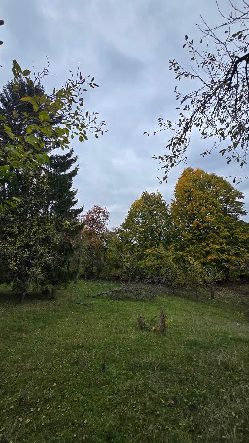 Bukvalek | Plac 1.135 m² sa starom kućom | 28.900 KM - slika 1